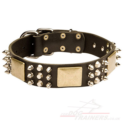 Leather Dog Collar Best Design | Dog Collar for Bright Style!