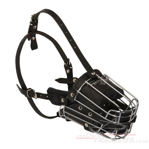 wire basket muzzle for dogs