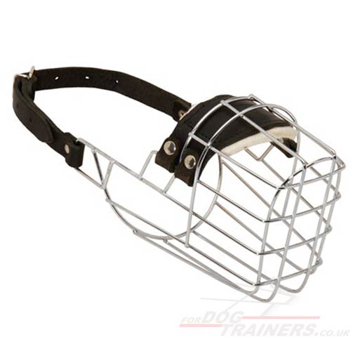 Wire Basket Muzzle for Doberman Pinscher for Sale from Producer