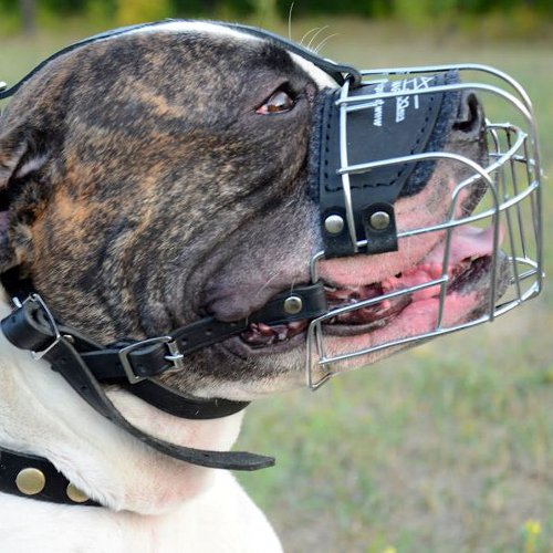 Buy Wire Basket Muzzle for American Bulldog of the Best Design