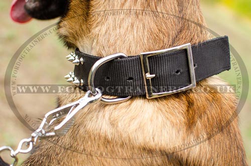 Adjustable Dog Collar with a Buckle and Glancing Spiked Design