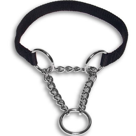 choker collar for dog