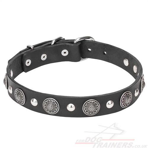 New Beautiful Dog Collar with Studs and Flowers