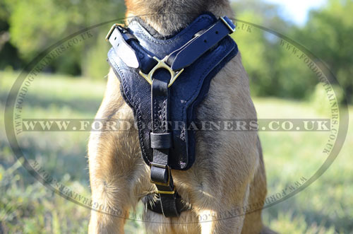 Padded Dog Harness for Malinois | Bestseller Leather Dog Harness