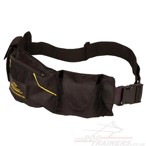 Belt Dog Training Pouch with Pockets for Dog Treats and Toys