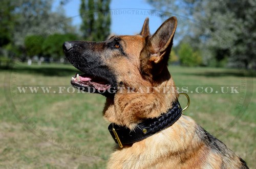 Braided Leather Dog Collar for German Shepherd, 2 Ply