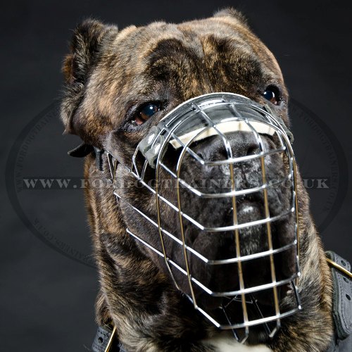 Best Cane Corso Dog Muzzle | Metal Wire Dog Muzzle for Mastiff