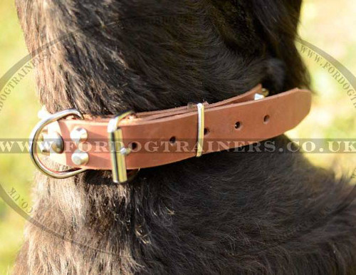 Handmade Dog Collars with original spiked design