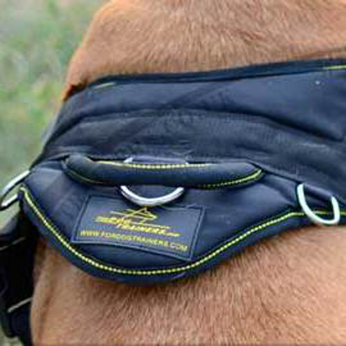 Best Dog Harness for Dogue De Bordeaux, UK Bestseller