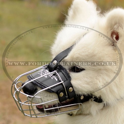 Samoyed Muzzle for Dog Grooming, Biting and Chewing etc