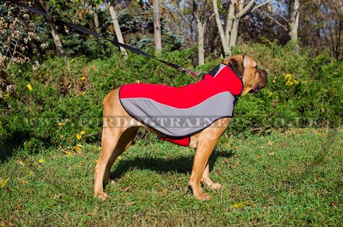 Warm Cane Corso Dog Jacket for Walking in Wet, Cold and Frost