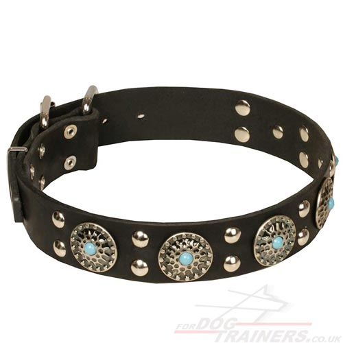 NEW Design Dog Collars with Silver-Like Medals and Blue Stones