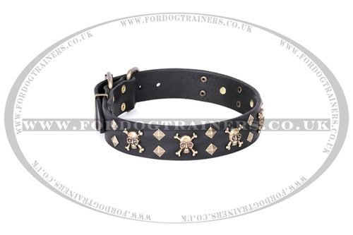 Designer Pirate Dog Collar with Skulls FDT Artisan