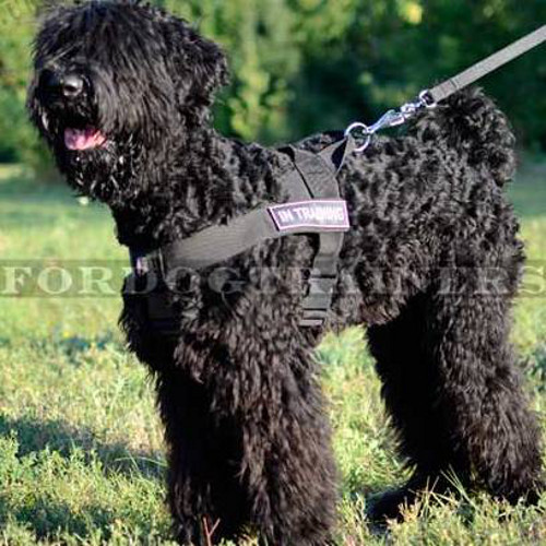 Black Russian Terrier Training Dog Harness