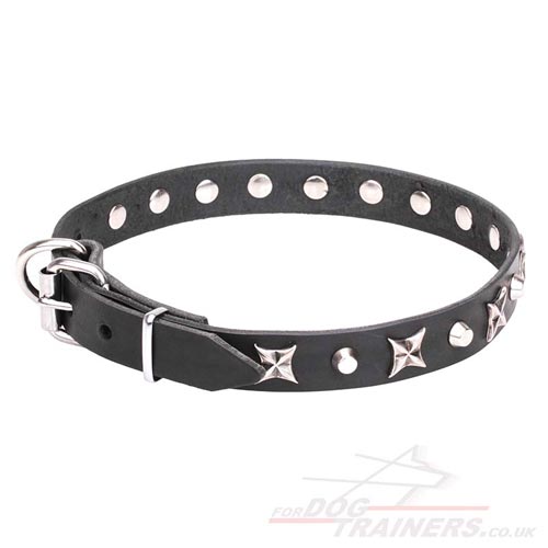 Perfect Bling Dog Collar with Decorations 1 inch (25 mm)