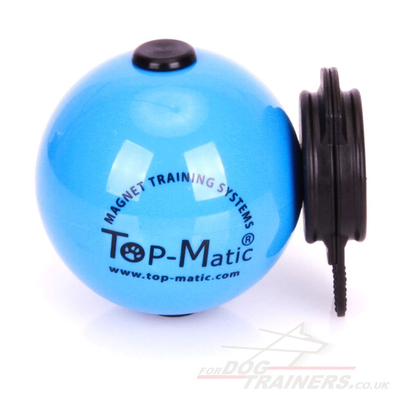 Blue Magnetic Ball
