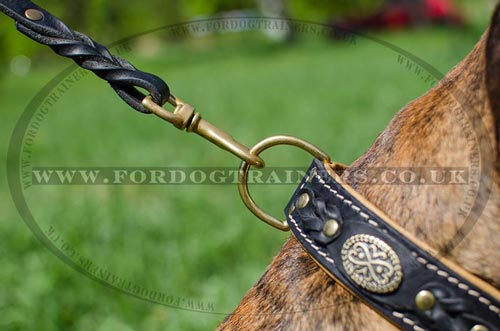 Handmade Leather Dog Collar for Boxer | Luxury Dog Collars UK