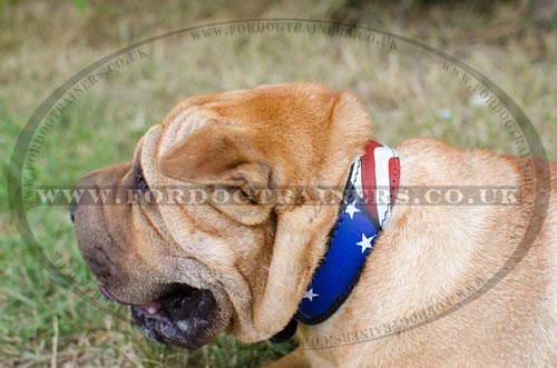 Bright Dog Collars Stars & Stripes for Chinese Shar Pei Dogs - Click Image to Close