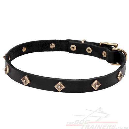 Diamonds Studded Dog Collar of Natural Leather, with Buckle