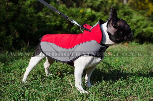 Warm Dog Harness-Vest for French Bulldog Walking in Winter