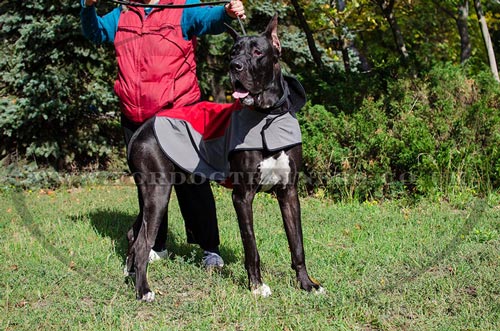 Extra Large Great Dane Jacket for Comfy Winter Dog Walking