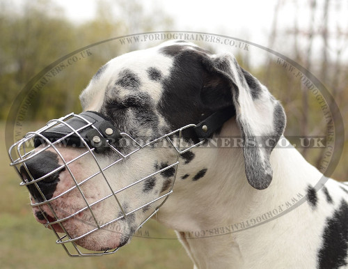 Large and Strong Great Dane Dog Muzzle for Drinking