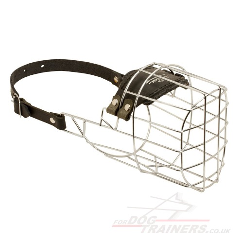 Airedale Terrier Dog Muzzle that Allows Eating and Drinking