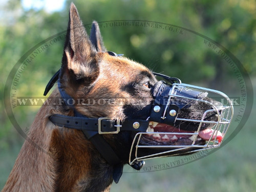 Bestseller Wire Basket Dog Muzzle for Belgian Malinois