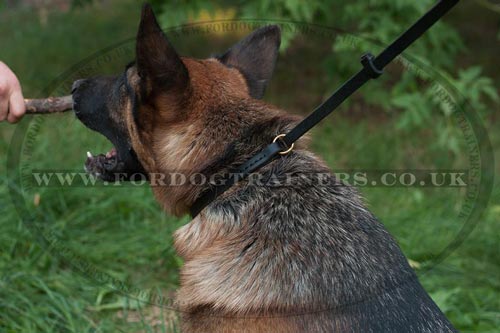 Comfy and Efficient Dog Collar and Leash Set for German Shepherd