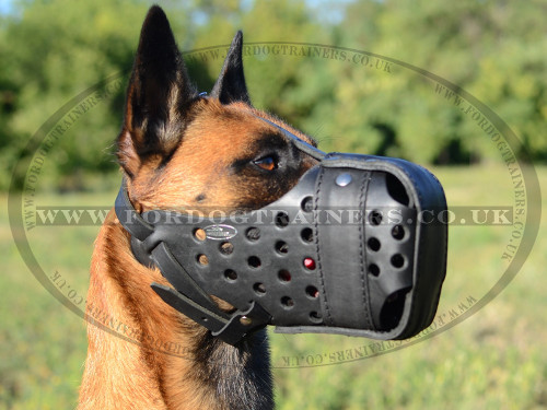 Leather Dog Muzzle for Malinois | Strong K9 Dogs Muzzle