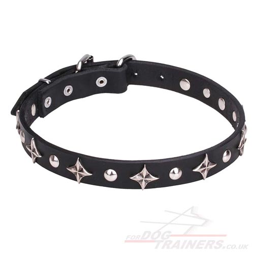 Bright Leather Dog Collar with Glossy Stars and Studs