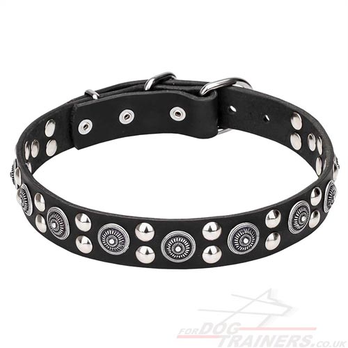 Classy Dog Collar with Chick Design and a Strong Metal Buckle