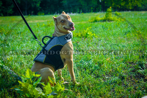 Outdoor Pitbull Dog Harness Vest for Winter with Support Handle