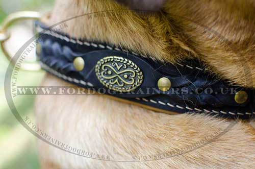 Cane Corso Mastiff Dog Collar | Royal Dog Collar Nappa Padded