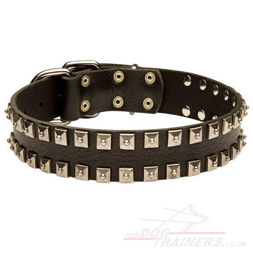 Chic Leather Dog Collar