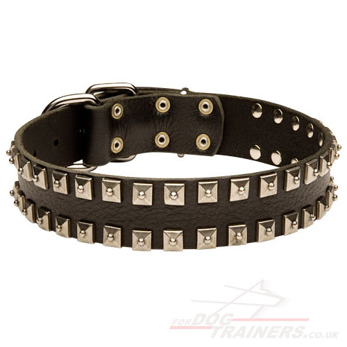 Caterpillar Dog Collar | Dog Leather Collar With Studs - Click Image to Close