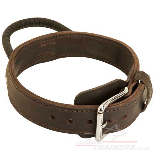 Dog Leather Collar with Handle and Chromium Plated Hardware