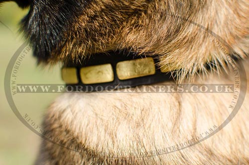 Elegant Leather Dog Collar for Belgian Shepherd Malinois