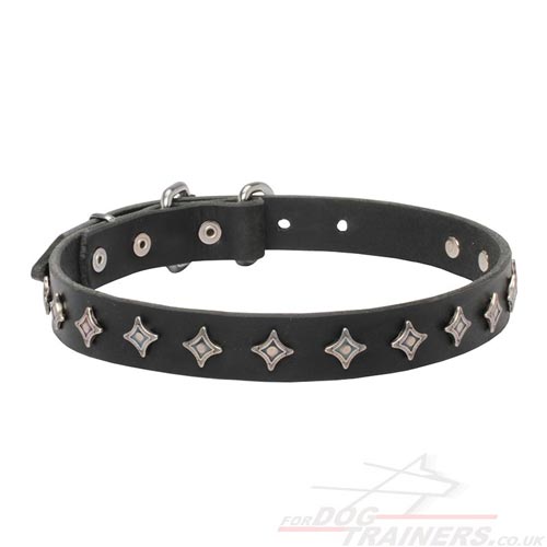 Cool Star-Studded Dog Collar for Dog Walking