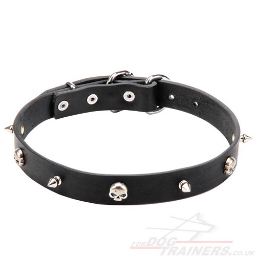 New Pirate Style for Your Dog! 1 Inch Dog Collar