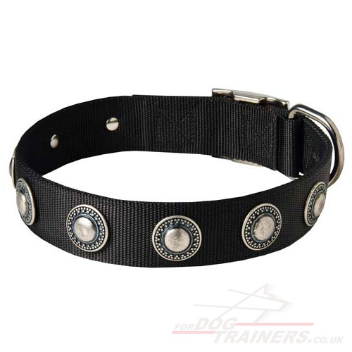 Designer Nylon Dog Collars with Luxury Silver-Like Conchos - Click Image to Close