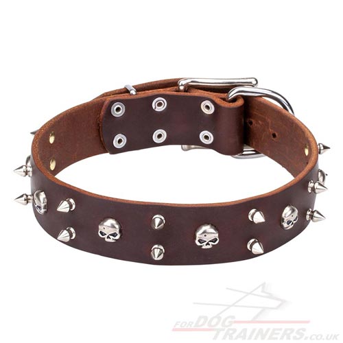 1.6 in Wide Leather Dog Collar of Funky Pirate Style
