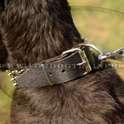 Designer Leather Dog Collars with Spikes and Studs