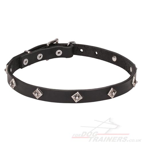 Diamond Studded, Elegant Thin Leather Dog Collar Design