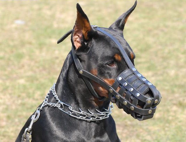 Soft Dog Muzzle Leather Basket for Doberman