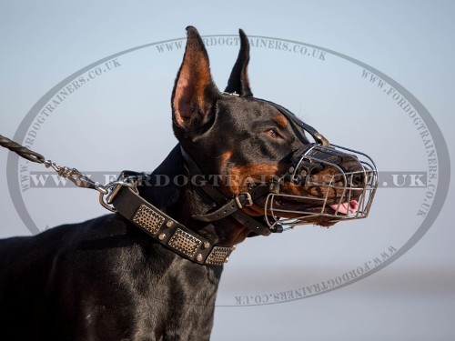 The Best Basket Muzzle for Doberman Pinscher and Long-Nosed Dogs