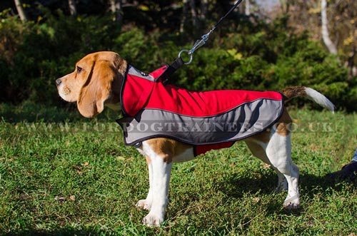 Dog Coat Harness for Beagle | Small Dog Coat for Beagle