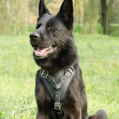 K9 Leather Dog Harness for German Shepherd UK Bestseller - Click Image to Close