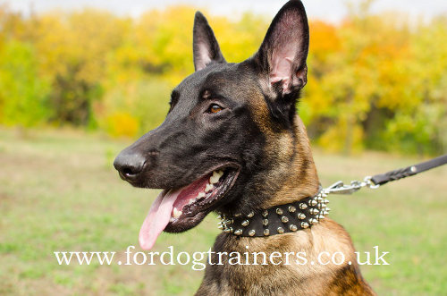 Super Stylish Leather Dogs Collars for Belgian Malinois