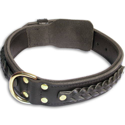 Dogue de Bardeaux Collar | Dogo De Bordeux Collar Braided UK